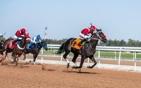 Compétitions de la King Faisal Cup pour les chevaux arabes pur-sang (SPA)