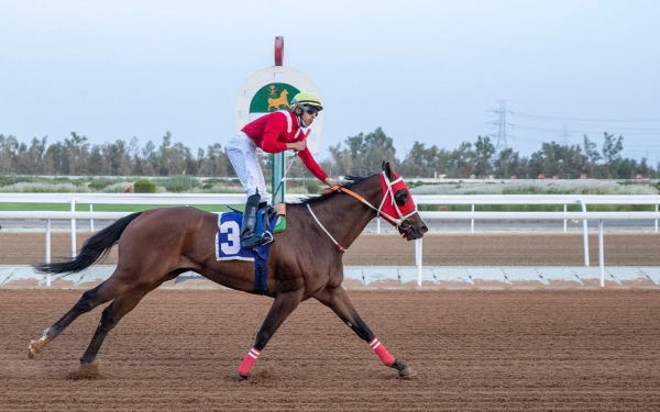 Un des cavaliers concourant pour la King Faisal Cup pour chevaux arabes pur-sang (SPA)