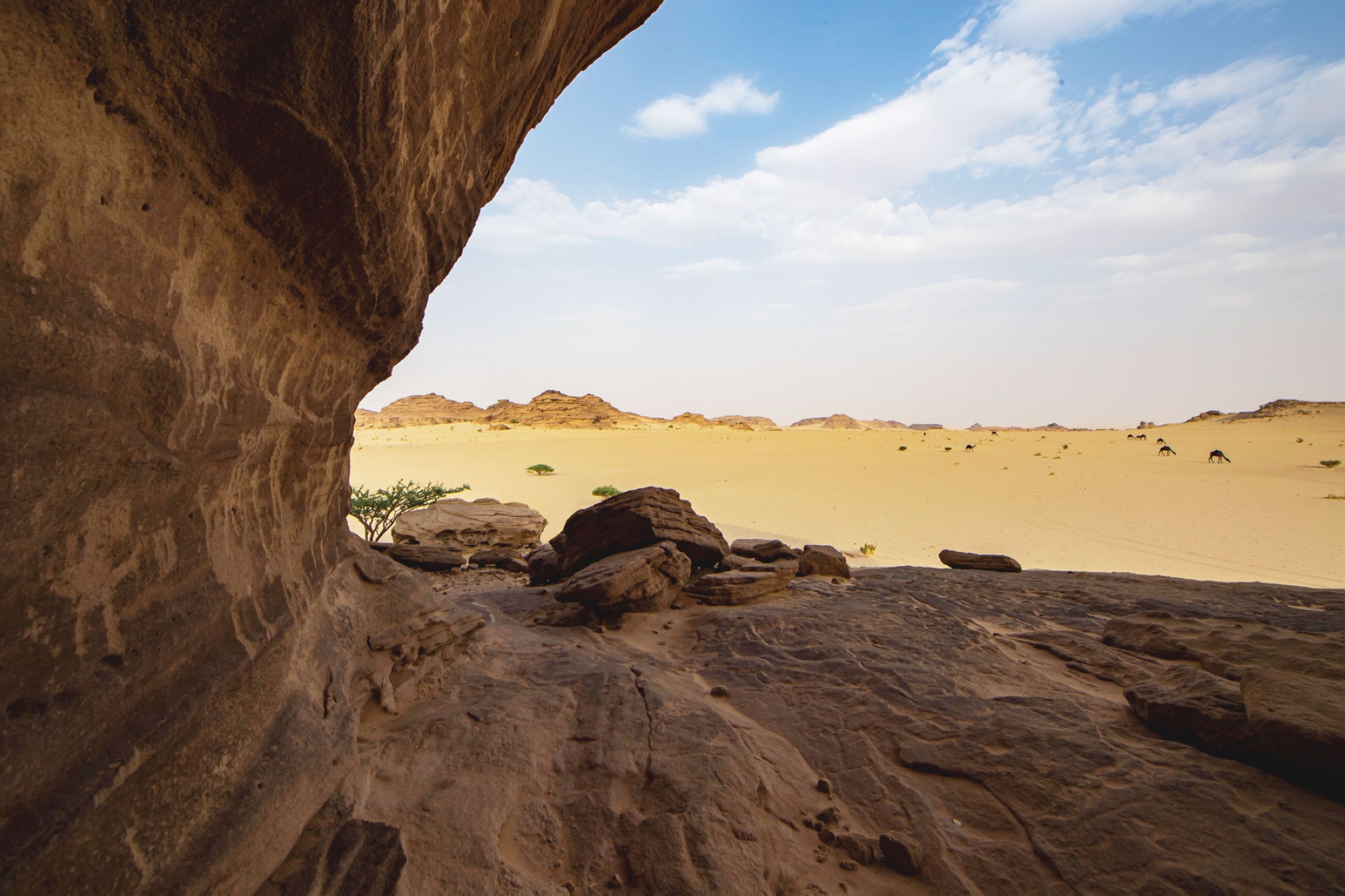 Aire culturelle de Hima dans la province de Najran. (SPA)