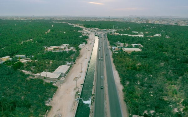 Oasis d’Al-Hassa, à l’est de l’Arabie saoudite. (Saudipedia)