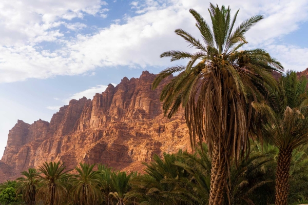 La diversité naturelle de Wadi ad-Disah dans la province de Tabuk. (Agence de presse saoudienne)