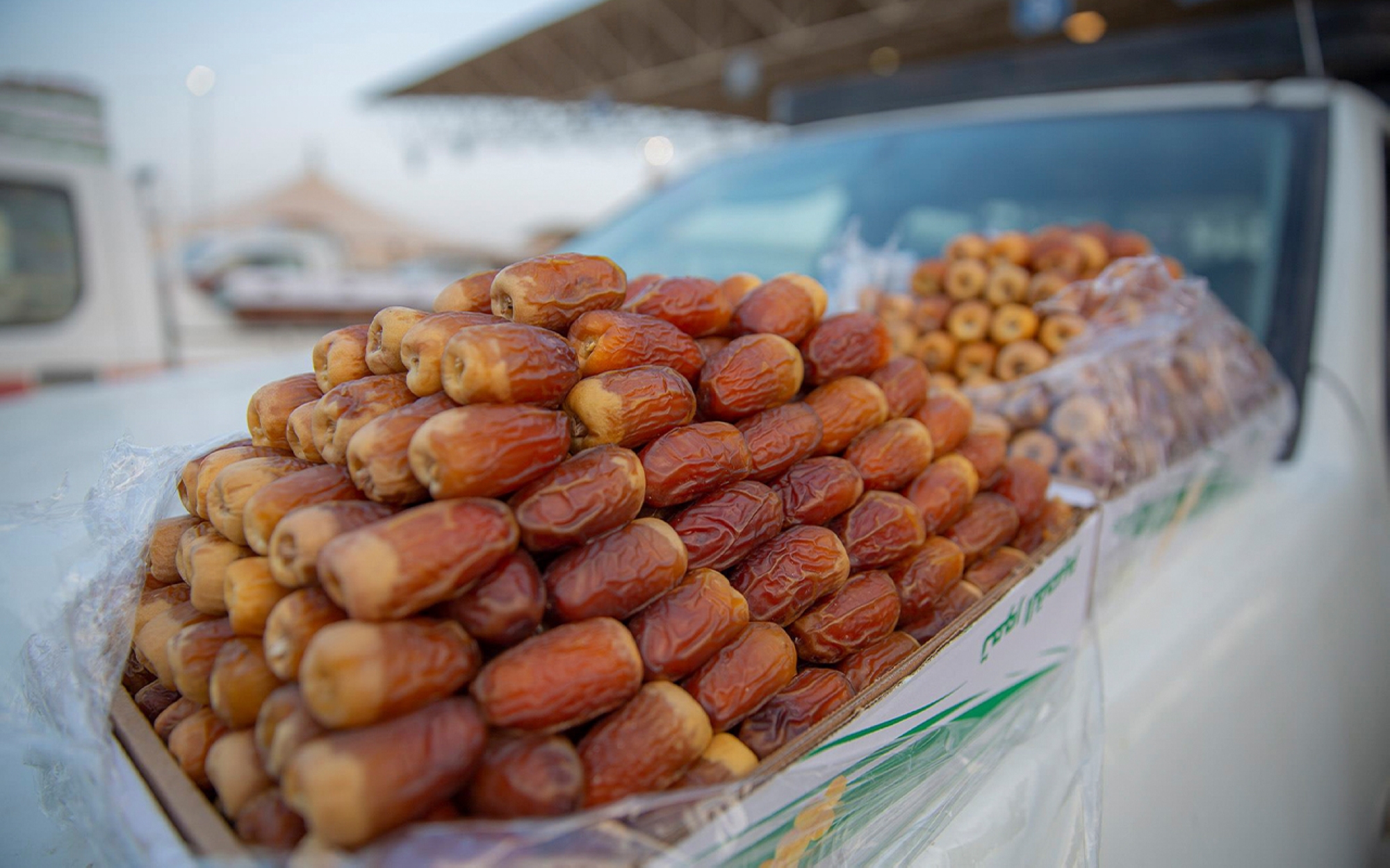 Saq&#039;i Tamr est un type de Rutab produite dans le Royaume. (SPA)