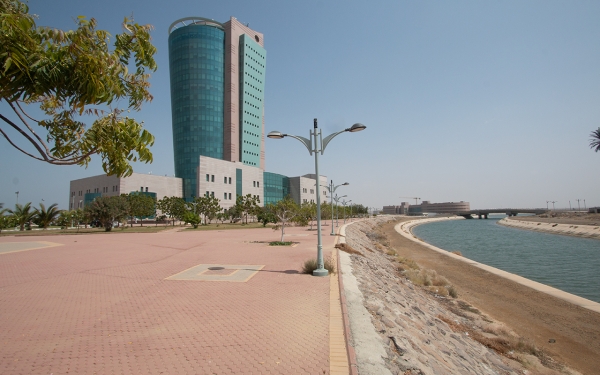 Кампус Университета Джизана, основанного в 2006 г. (Саудипедия)