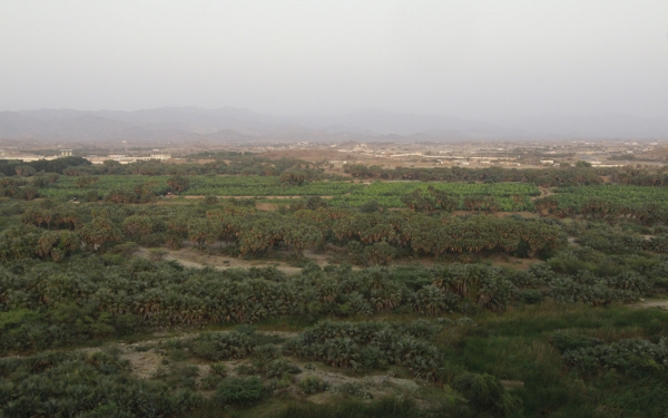Долина Эль-Фатиха в мухафазе Байш округа Джизан (Saudipedia)