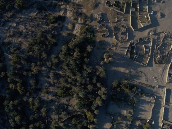 صورة جوية أفقية تظهر فيها مزارع النخيل التي تشتهر بها مدينة مقنا. (دارة الملك عبدالعزيز)