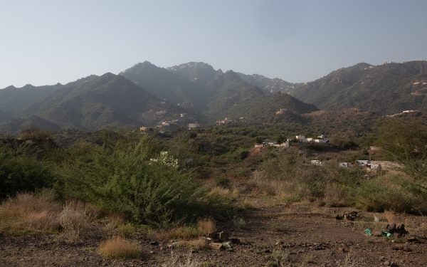 جبل فيفا بمنطقة جازان وتظهر عليه بعض القرى المأهولة. (سعوديبيديا)