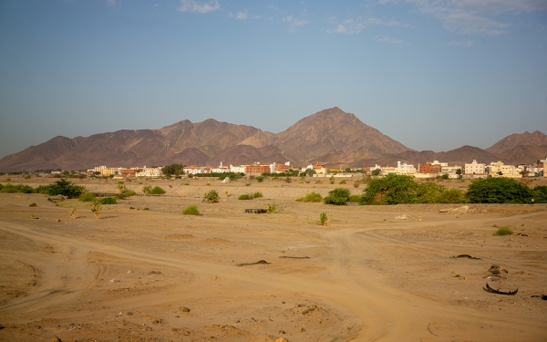 وادي فاطمة غرب المملكة. (سعوديبيديا)