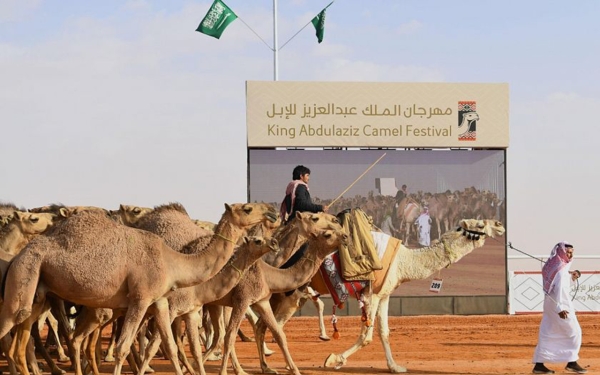 مهرجان الملك عبدالعزيز للإبل حيث تُقام العديد من المسابقات الخاصة بالإبل في منطقة الرياض. (واس)