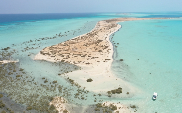 جزيرة أمهات الشيخ ذات طبيعة بكر ومياه صافية، تقع على ساحل البحر الأحمر في السعودية. (واس)