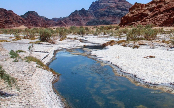 وادي الحمض ثالث أطول الأودية في السعودية يبلغ طوله 400 كلم. (هيئة المساحة الجيولوجية)