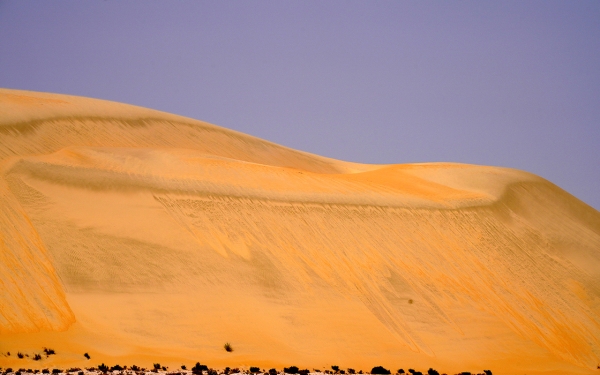 المسطحات الرملية في الربع الخالي بالمملكة. (سعوديبيديا)