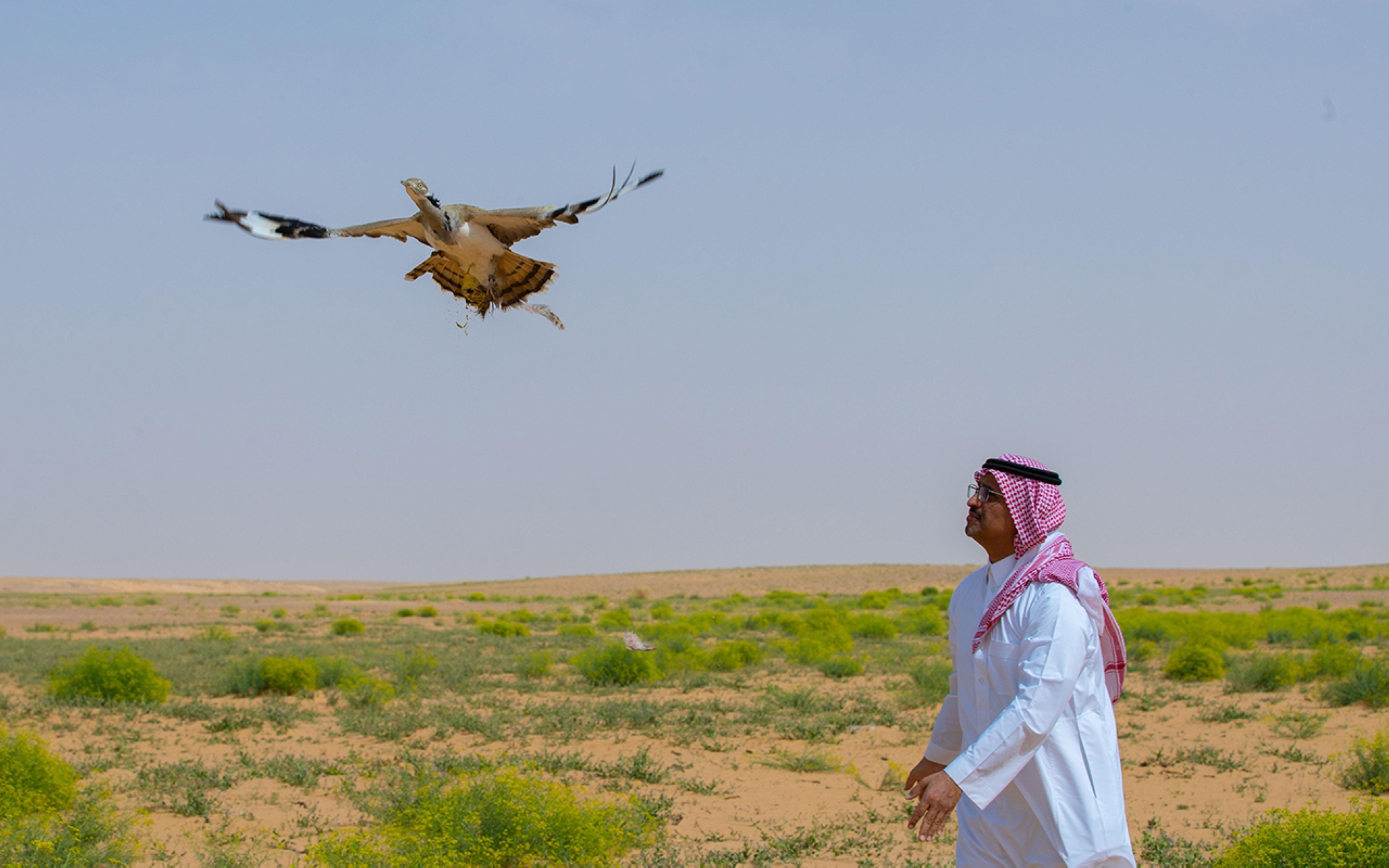 أنشأ الملك عبدالعزيز مديرية البرق والبريد والهاتف