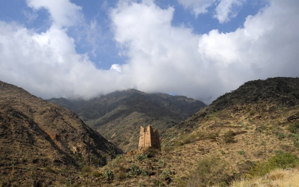 محمية جرف ريدة ضمن جبال السروات في منطقة عسير. (واس)
 