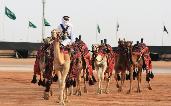 صورة لإحدى فعاليات مهرجان الملك عبدالعزيز للإبل. (واس)