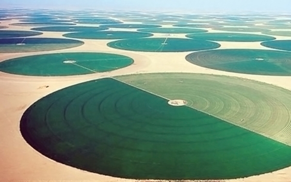 صورة جوية لإحدى مزارع القمح في وادي الدواسر. (دارة الملك عبدالعزيز)
