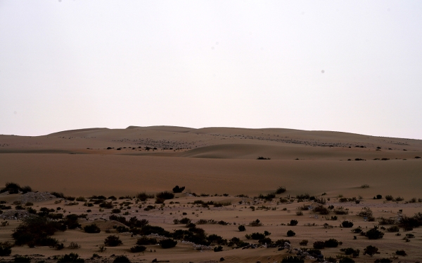 صحراء الربع الخالي جنوب شرق السعودية. (سعوديبيديا)
 