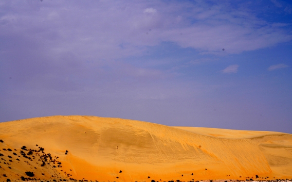 صحراء الربع الخالي، أوسع مسطح رملي متصل في العالم. (سعوديبيديا)