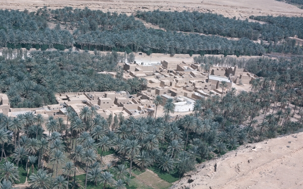 صورة جوية للدرعية ومنازلها الطينية ومزارع النخيل. أنجلو بيشا. (دارة الملك عبدالعزيز)