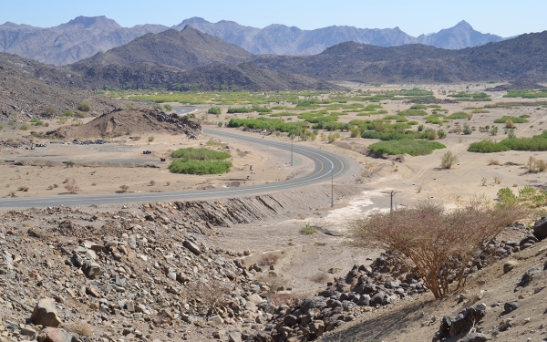 وادي نجران وهو أكبر أودية نجران ويقسمها إلى قسمين شمالي وجنوبي. (سعوديبيديا)
 