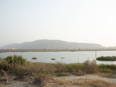جانب من أودية محافظة العارضة (سعوديبيديا).