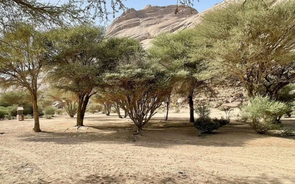 صورة من متنزه طخفة البري في محافظة ضرية. (واس)