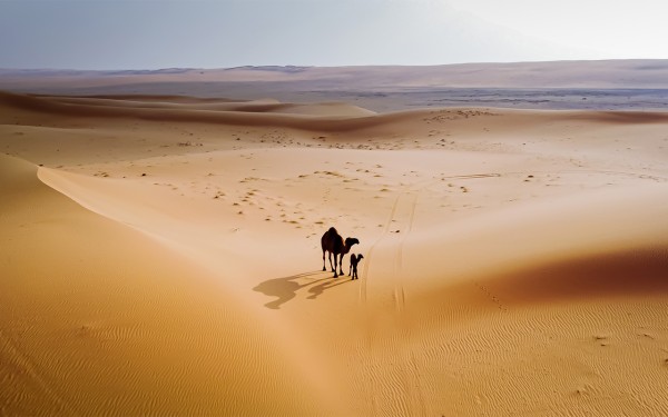 صورة جوية لمحمية نفود العريق. (سعوديبيديا)