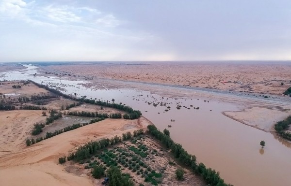 صحراء الدهناء أثناء هطول الأمطار. (واس)