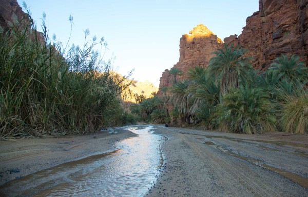 وادي الديسة في منطقة تبوك. (سعوديبيديا)