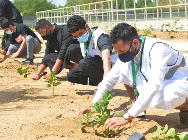 مجموعة تزرع شجيرات ضمن مبادرة السعودية الخضراء. (واس)