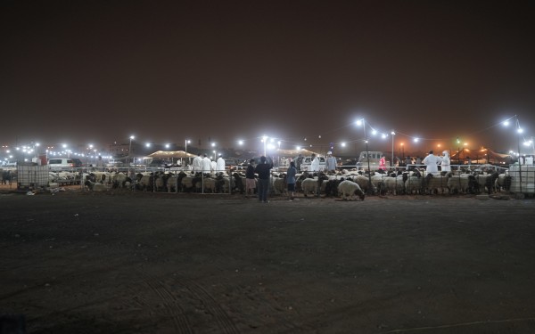 سوق الأغنام في مدينة الرياض. (سعوديبيديا)