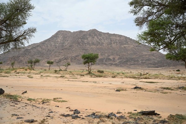 جبل جلدية جنوب بقعاء، يحتوي على عدد من الفنون الصخرية. (سعوديبيديا)