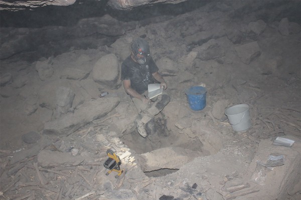 عظام تعود لآلاف السنين داخل كهف أم جرسان في حرة خيبر شمال المدينة المنورة. (واس)