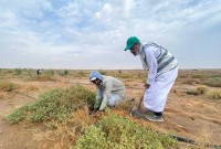 مشاركة بعض الموطنين في حملة لنجعلها خضراء. (سعوديبيديا)