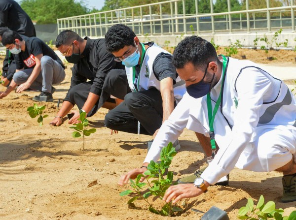  مواطنون يشاركون في حملة لنجعلها خضراء. (سعوديبيديا)