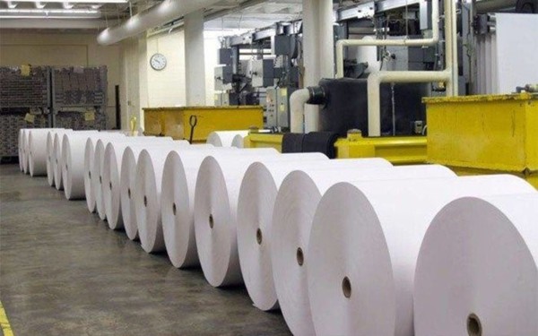 رولات الورق من إنتاج أحد مصانع الورق في السعودية. (دارة الملك عبدالعزيز)