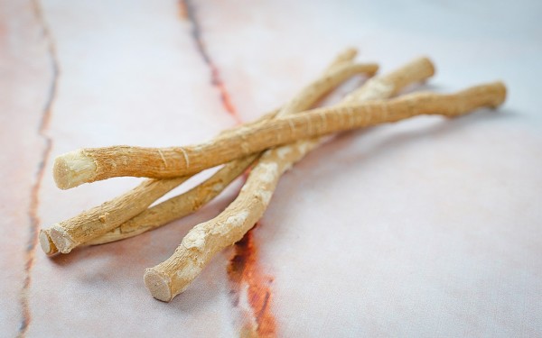 السواك يستخرج من جذور شجرة الأراك، ويستخدم لتنظيف الفم والأسنان. (سعوديبيديا)