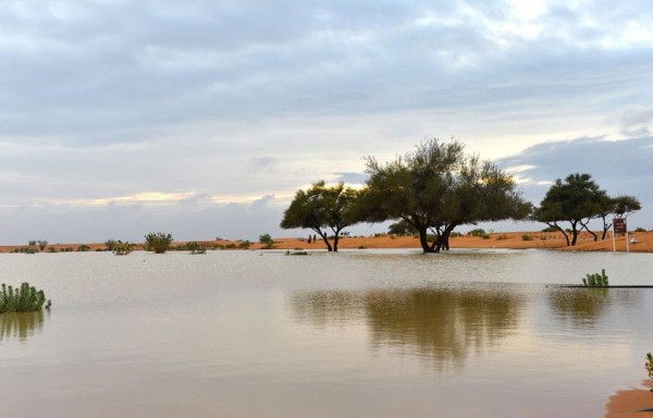 وادي الثمامة أثناء جريانه. (واس)