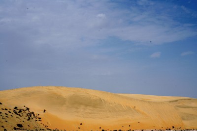 صحراء الربع الخالي جنوب شرقي السعودية. (سعوديبيديا)