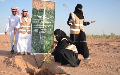 أحد مشاريع مبادرة تطوير القدرة على الاستعداد للجفاف في مدينة حائل. (المركز الإعلامي للمركز الوطني لتنمية الغطاء النباتي)