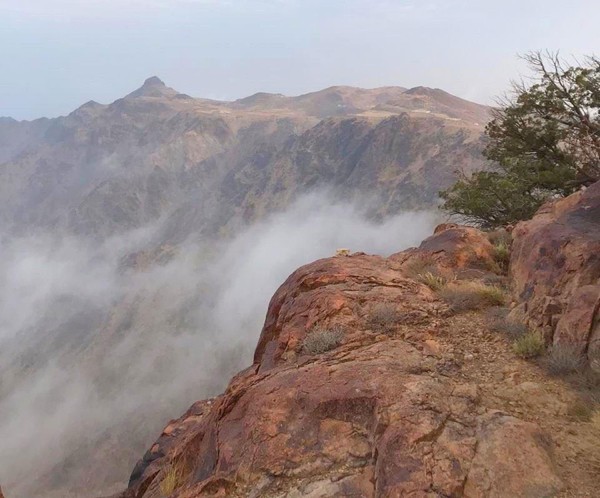 جبال الفقرة جنوب غربي منطقة المدينة المنورة. (واس)