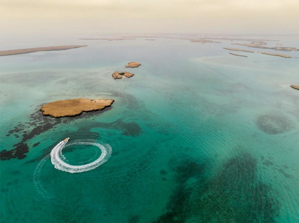 محمية جزر فرسان. (المركز الوطني لتنمية الحياة الفطرية)