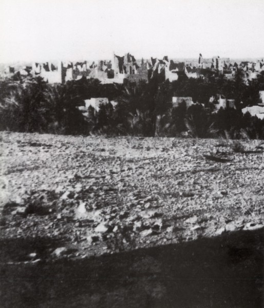 صورة من خارج حي الطريف بالدرعية تظهر بها المنازل الطينية ومزارع النخيل. جيرارد ليتشمان. 1912م. (دارة الملك عبدالعزيز)