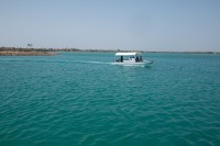 جزيرة فرسان من الجزر المأهولة بالسكان في السعودية. (سعوديبيديا)