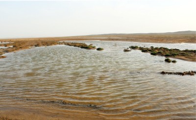 جريان مياه وادي الجرير. الأطلس. (دارة الملك عبدالعزيز)