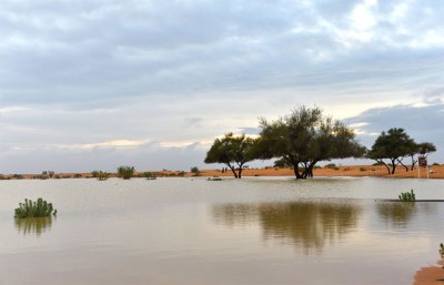 جريان سيل مياه وادي الثمامة بمنطقة الرياض. (واس)