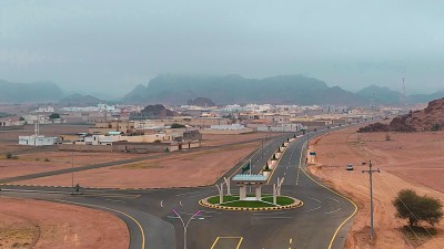 أحد شوارع محافظة الشنان يتزين بالمجسمات بمناسبة اليوم الوطني. (المركز الإعلامي لبلدية محافظة الشنان)