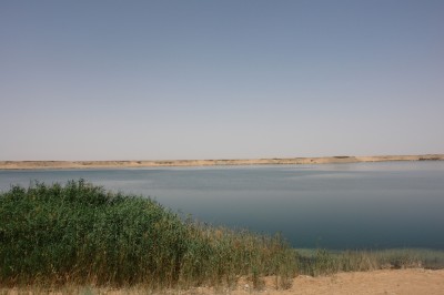 مياه سد وادي حنيفة. (دارة الملك عبدالعزيز)