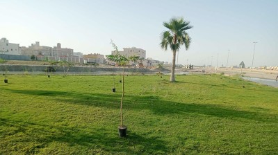أحد المسطحات الخضراء في محافظة البيضاء. (المركز الإعلامي لبلدية محافظة البيضاء)
