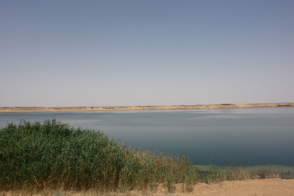 مياه سد وادي حنيفة. (دارة الملك عبدالعزيز)