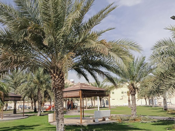 إحدى الحدائق في محافظة البيضاء. (المركز الإعلامي لبلدية محافظة البيضاء)
